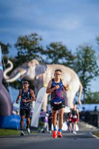 BIB: 
                            <button type="button" onclick="openModal(26541483)" class="btn btn-primary btn-sm float-right btn-popup" data-toggle="modal" data-target=".modal-high-quality">
                        <i class="fas fa-shopping-cart"></i> Add to Cart
                    </button>
                                            <button type="button" onclick="isThisMe(26541483, true)" class="btn btn-success btn-sm float-right btn-popup btn-isme hidden" data-toggle="tooltip" data-placement="bottom" title="นี่คือรูปของคุณใช่ไหม คลิกที่นี่เพื่อเอาเข้าอัลบั้ม">
                        <i class="fas fa-plus"></i> Add to album
                    </button>
                    <button type="button" onclick="isThisMe(26541483, false)" class="btn btn-warning btn-sm float-right btn-popup btn-isnotme hidden">
                        <i class="fas fa-ban"></i> Remove from album
                    </button>